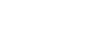alen-security-logo